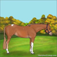 Horse Color:Chestnut Tobiano 