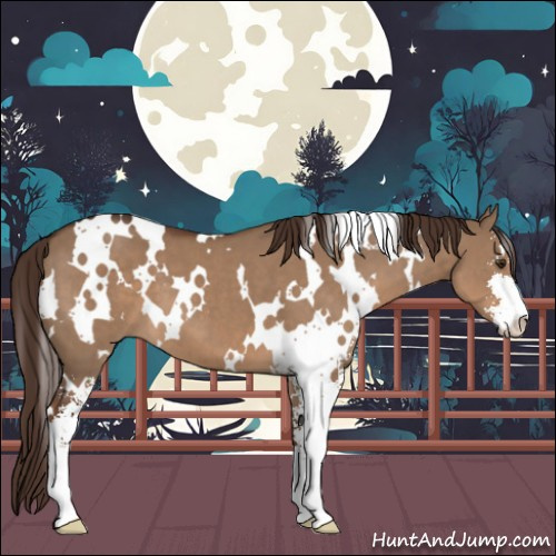 Horse Color:White Spotted Liver Red Dun Sabino 