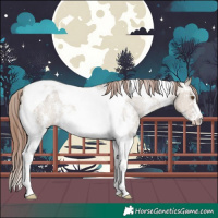 Horse Color:Classic Champagne Dun Sabino Tobiano Appaloosa Rabicano 