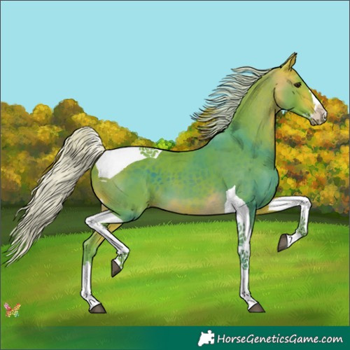 Horse Color:Watercolor Silver Buckskin Splash Tobiano 