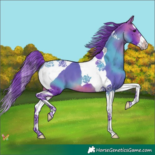 Horse Color:Watercolor Brown Splash Tobiano 