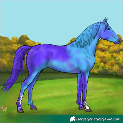 Horse Color:Watercolor Brown Tobiano 