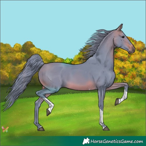 Horse Color:Watercolor Brown Tobiano 