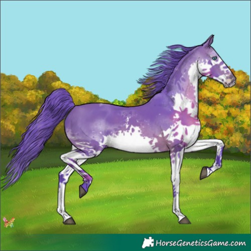 Horse Color:Watercolor Brown Splash Tobiano 