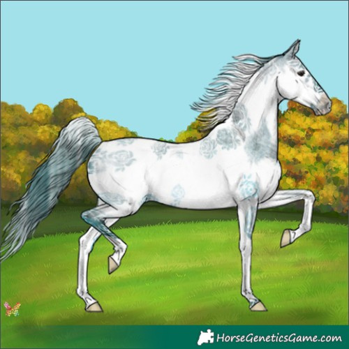 Horse Color:Watercolor Bay Roan Splash Tobiano Frame 