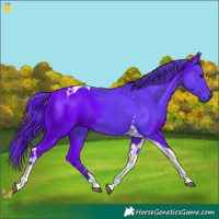 Horse Color:Watercolor Black Tobiano 