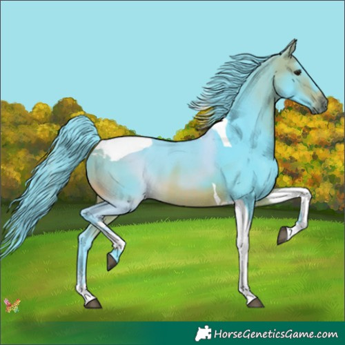 Horse Color:Watercolor Bay Tobiano 