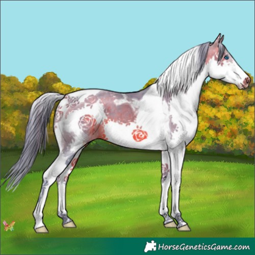 Horse Color:Watercolor Brown Splash Tobiano 