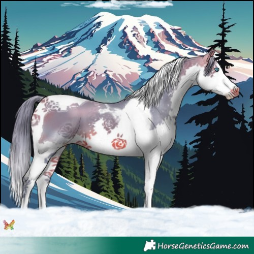Horse Color:Watercolor Brown Splash Tobiano 