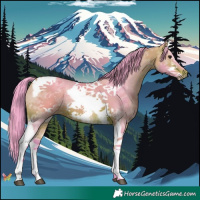 Horse Color:Watercolor Bay Sabino Tobiano Frame