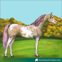 Horse Color:Watercolor Bay Sabino Tobiano Frame