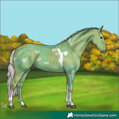 Horse Color:Watercolor Silver Black Tobiano 
