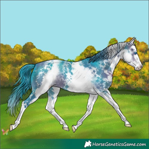 Horse Color:Watercolor White Spotted Bay Splash