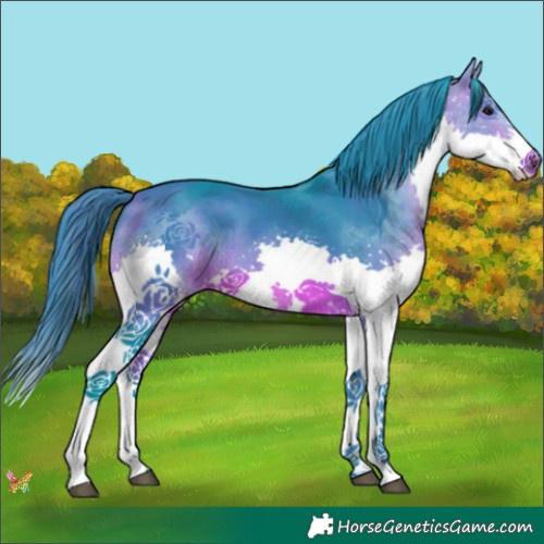 Horse Color:Watercolor Brown Splash Tobiano 