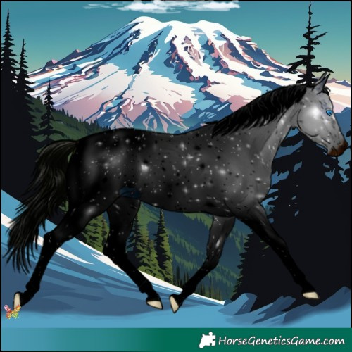 Horse Color:ERROR: UNKNOWN ANOMALY