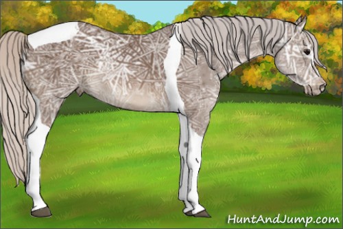 Horse Color:Silver Black Ice Sabino Tobiano 