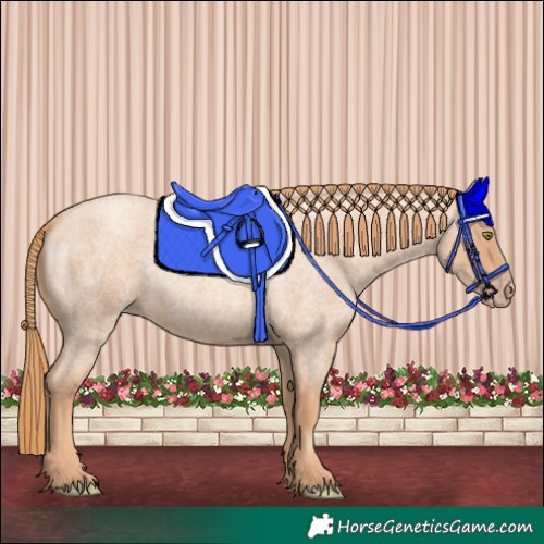 Horse Color:Gold Champagne Roan
