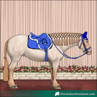 Horse Color:Gold Champagne Roan 