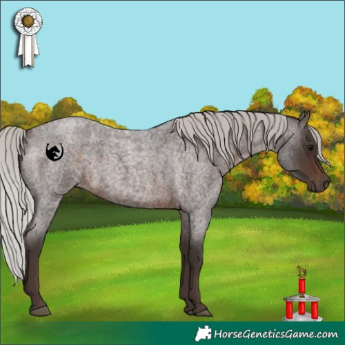 Horse Color:Silver Brown Roan 