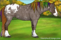 Horse Color:Painted Liver Red Roan Sabino Splash Appaloosa 