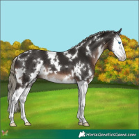 Horse Color:White Spotted Liver Chestnut Mushroom Splash 