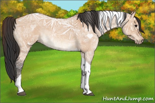 Horse Color:Bay Ice Roan Dun Tobiano 