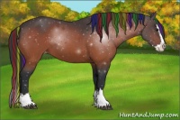 Horse Color:Painted Brown Sabino Splash Varnish