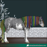 Horse Color:Painted Black Sabino Splash Appaloosa 