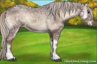 Horse Color:Silver Blue Onyx Ice 