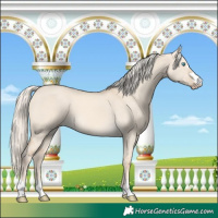 Horse Color:Cremello Dun 