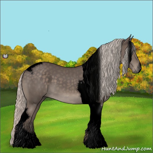 Horse Color:Void Silver Black Tobiano 