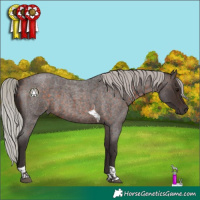 Horse Color:Silver Brown Roan Tobiano 