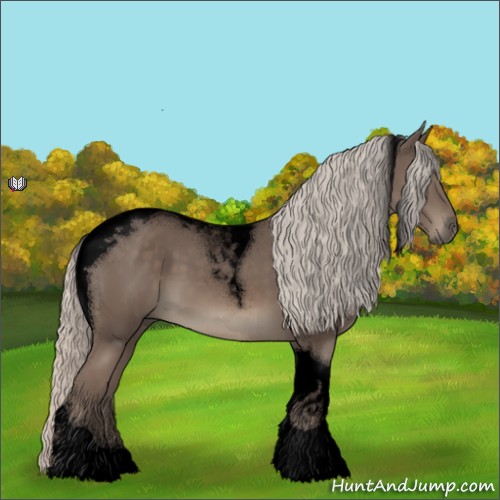 Horse Color:Void Silver Black Tobiano 