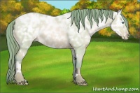 Horse Color:Watercolor White Spotted Smoky Grullo Ice Pearl 