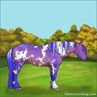 Horse Color:Watercolor White Spotted Bay 
