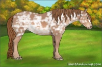 Horse Color:Chestnut Ice 