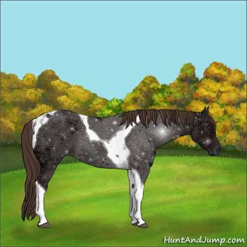 Horse Color:Liver Chestnut Ice Sabino Tobiano 