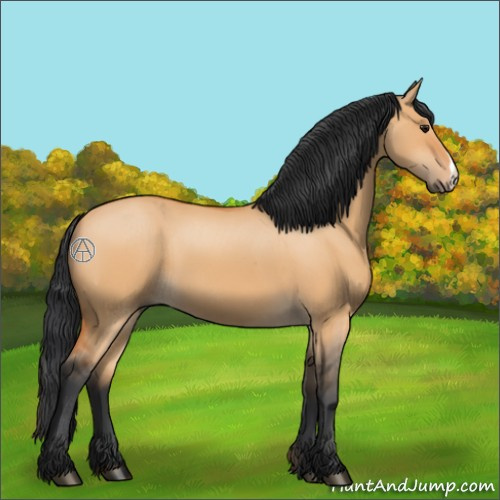 Horse Color:Bay Dun 