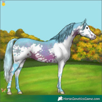 Horse Color:Watercolor Brown Splash