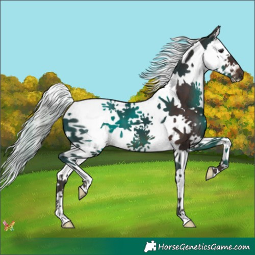 Horse Color:Silver Brown Splash Tobiano 