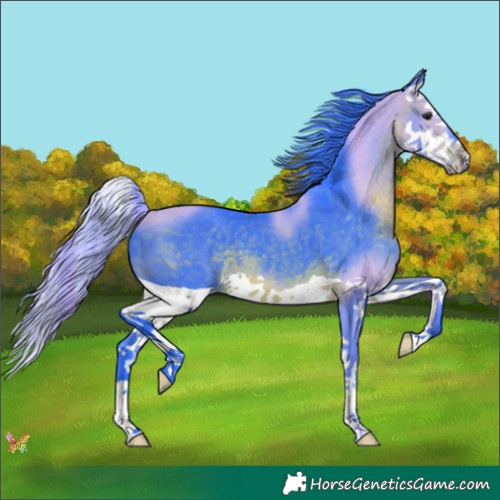 Horse Color:Watercolor Brown Splash 