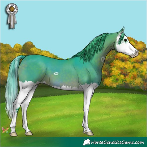 Horse Color:Watercolor Bay Splash 