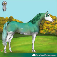 Horse Color:Watercolor Bay Splash