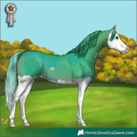Horse Color:Watercolor Bay Splash