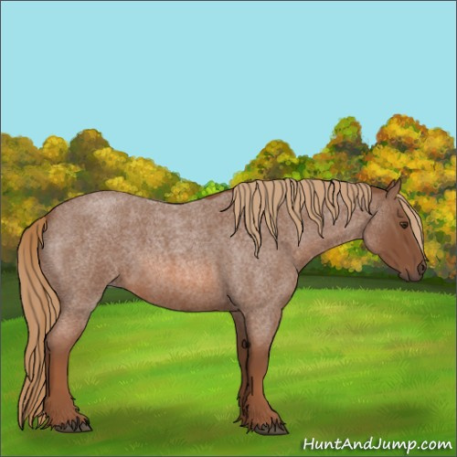 Horse Color:Red Roan 