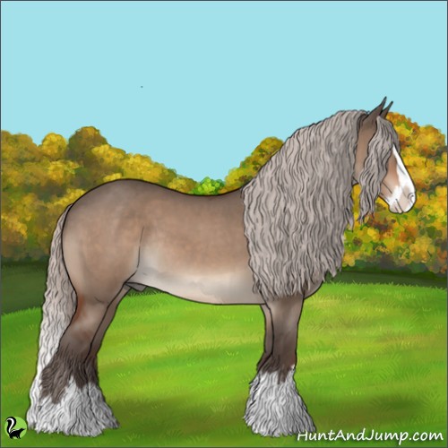 Horse Color:Silver Bay Roan Dun Splash Rabicano 