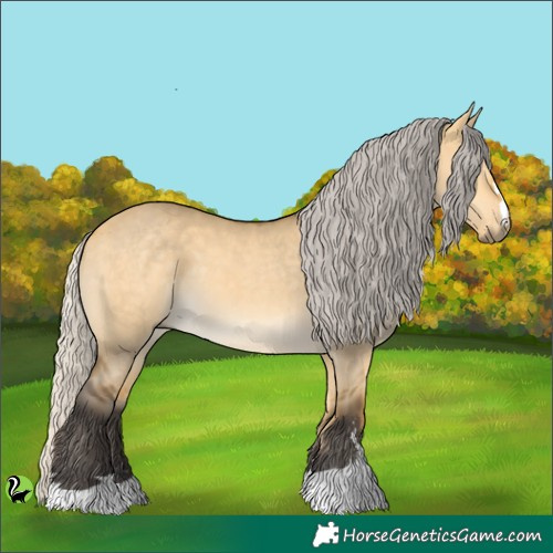 Horse Color:Silver Buckskin Dun 