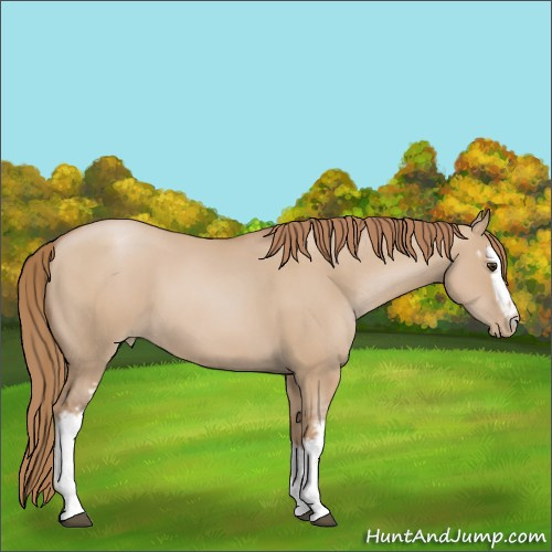 Horse Color:White Spotted Grullo Pearl