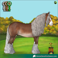 Horse Color:Silver Brown Splash 