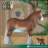 Horse Color:Silver Brown Splash